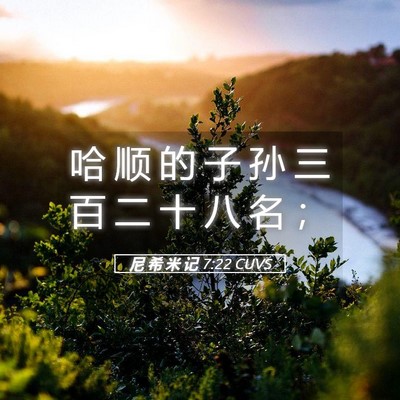Picture 05 - 尼 希 米 记 7:22 CUVS - 哈 顺 的 子 孙 三 百 二 十 八 名 - Bible Verse Picture