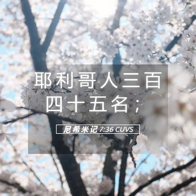 Picture 05 - 尼 希 米 记 7:36 CUVS - 耶 利 哥 人 三 百 四 十 五 名 - Bible Verse Picture