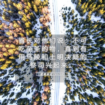 Picture 05 - 尼 希 米 记 7:65 CUVS - 省 长 对 他 们 说 ： 不 可 吃 至 圣 - Bible Verse Picture