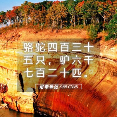 Picture 05 - 尼 希 米 记 7:69 CUVS - 骆 驼 四 百 三 十 五 只 ， 驴 六 千 - Bible Verse Picture