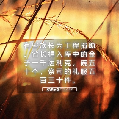 Picture 05 - 尼 希 米 记 7:70 CUVS - 有 些 族 长 为 工 程 捐 助 。 省 长 - Bible Verse Picture