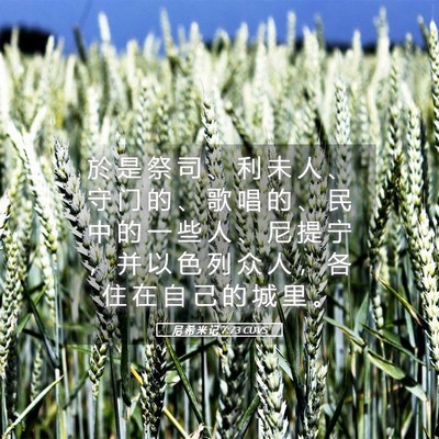 Picture 05 - 尼 希 米 记 7:73 CUVS - 於 是 祭 司 、 利 未 人 、 守 门 的 - Bible Verse Picture