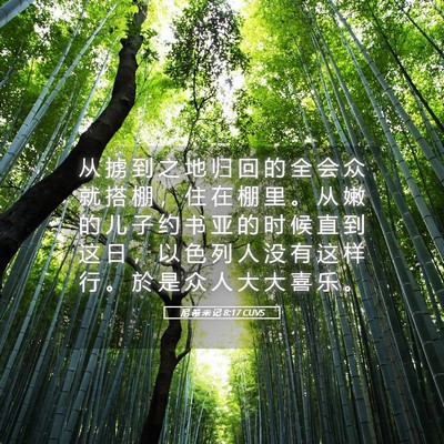 Picture 05 - 尼 希 米 记 8:17 CUVS - 从 掳 到 之 地 归 回 的 全 会 众 就 - Bible Verse Picture