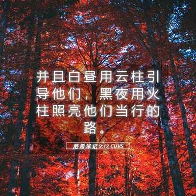 Picture 05 - 尼 希 米 记 9:12 CUVS - 并 且 白 昼 用 云 柱 引 导 他 们 ， - Bible Verse Picture