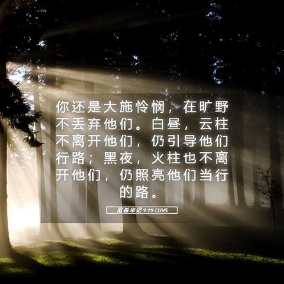 Picture 05 - 尼 希 米 记 9:19 CUVS - 你 还 是 大 施 怜 悯 ， 在 旷 野 不 - Bible Verse Picture