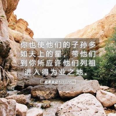 Picture 05 - 尼 希 米 记 9:23 CUVS - 你 也 使 他 们 的 子 孙 多 如 天 上 - Bible Verse Picture