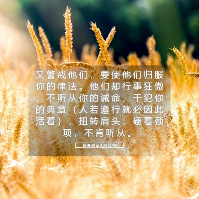 Picture 05 - 尼 希 米 记 9:29 CUVS - 又 警 戒 他 们 ， 要 使 他 们 归 服 - Bible Verse Picture