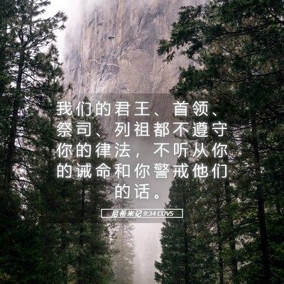Picture 05 - 尼 希 米 记 9:34 CUVS - 我 们 的 君 王 、 首 领 、 祭 司 、 - Bible Verse Picture