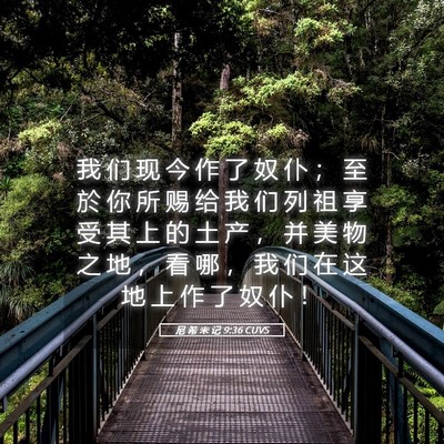 Picture 05 - 尼 希 米 记 9:36 CUVS - 我 们 现 今 作 了 奴 仆 ； 至 於 你 - Bible Verse Picture