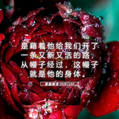 Picture 05 - 希 伯 来 书 10:20 CUVS - 是 藉 着 他 给 我 们 开 了 一 条 又 - Bible Verse Picture