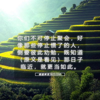 Picture 05 - 希 伯 来 书 10:25 CUVS - 你 们 不 可 停 止 聚 会 ， 好 像 那 - Bible Verse Picture