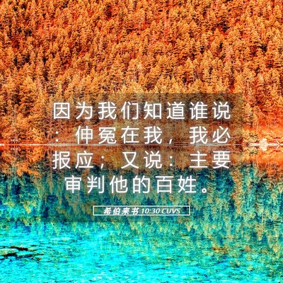 Picture 05 - 希 伯 来 书 10:30 CUVS - 因 为 我 们 知 道 谁 说 ： 伸 冤 在 - Bible Verse Picture