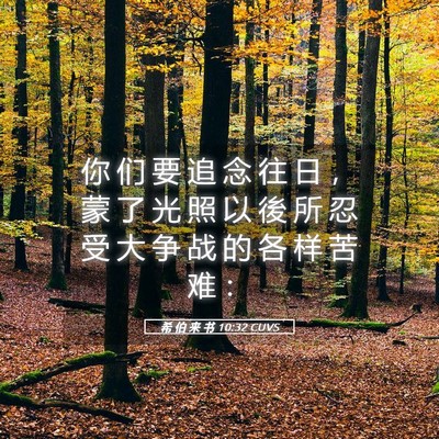 Picture 05 - 希 伯 来 书 10:32 CUVS - 你 们 要 追 念 往 日 ， 蒙 了 光 照 - Bible Verse Picture