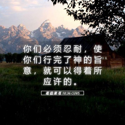 Picture 05 - 希 伯 来 书 10:36 CUVS - 你 们 必 须 忍 耐 ， 使 你 们 行 完 - Bible Verse Picture