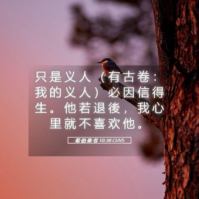 Picture 05 - 希 伯 来 书 10:38 CUVS - 只 是 义 人 （ 有 古 卷 ： 我 的 义 - Bible Verse Picture