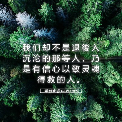 Picture 05 - 希 伯 来 书 10:39 CUVS - 我 们 却 不 是 退 後 入 沉 沦 的 那 - Bible Verse Picture