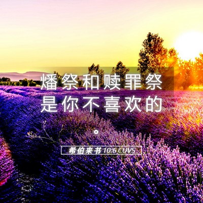 Picture 05 - 希 伯 来 书 10:6 CUVS - 燔 祭 和 赎 罪 祭 是 你 不 喜 欢 的 - Bible Verse Picture