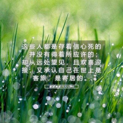 Picture 05 - 希 伯 来 书 11:13 CUVS - 这 些 人 都 是 存 着 信 心 死 的 ， - Bible Verse Picture