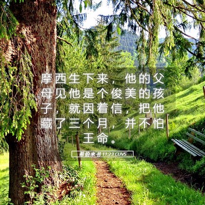 Picture 05 - 希 伯 来 书 11:23 CUVS - 摩 西 生 下 来 ， 他 的 父 母 见 他 - Bible Verse Picture