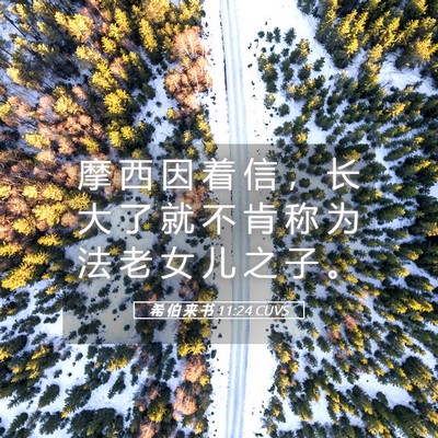 Picture 05 - 希 伯 来 书 11:24 CUVS - 摩 西 因 着 信 ， 长 大 了 就 不 肯 - Bible Verse Picture