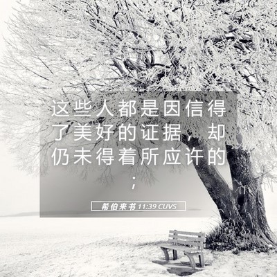 Picture 05 - 希 伯 来 书 11:39 CUVS - 这 些 人 都 是 因 信 得 了 美 好 的 - Bible Verse Picture