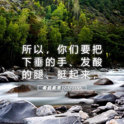 Picture 05 - 希 伯 来 书 12:12 CUVS - 所 以 ， 你 们 要 把 下 垂 的 手 、 - Bible Verse Picture