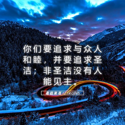 Picture 05 - 希 伯 来 书 12:14 CUVS - 你 们 要 追 求 与 众 人 和 睦 ， 并 - Bible Verse Picture