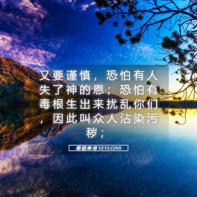 Picture 05 - 希 伯 来 书 12:15 CUVS - 又 要 谨 慎 ， 恐 怕 有 人 失 了 神 - Bible Verse Picture