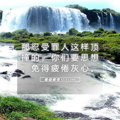 Picture 05 - 希 伯 来 书 12:3 CUVS - 那 忍 受 罪 人 这 样 顶 撞 的 ， 你 - Bible Verse Picture