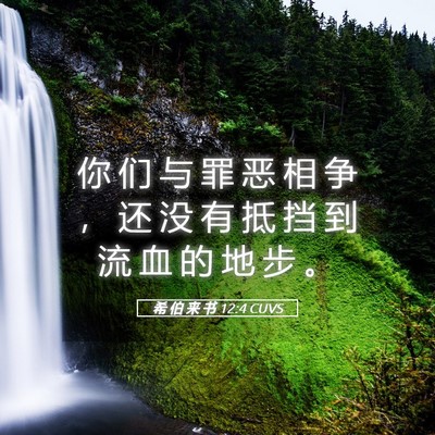 Picture 05 - 希 伯 来 书 12:4 CUVS - 你 们 与 罪 恶 相 争 ， 还 没 有 抵 - Bible Verse Picture