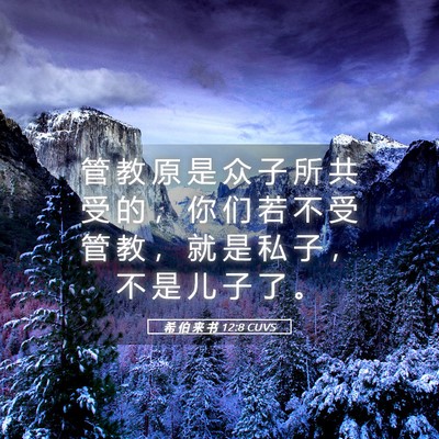 Picture 05 - 希 伯 来 书 12:8 CUVS - 管 教 原 是 众 子 所 共 受 的 ， 你 - Bible Verse Picture