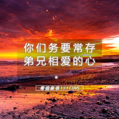 Picture 05 - 希 伯 来 书 13:1 CUVS - 你 们 务 要 常 存 弟 兄 相 爱 的 心 - Bible Verse Picture