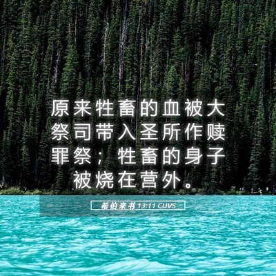 Picture 05 - 希 伯 来 书 13:11 CUVS - 原 来 牲 畜 的 血 被 大 祭 司 带 入 - Bible Verse Picture