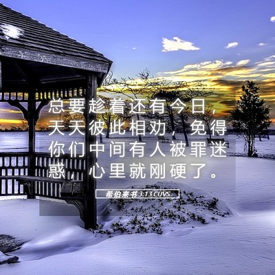 Picture 05 - 希 伯 来 书 3:13 CUVS - 总 要 趁 着 还 有 今 日 ， 天 天 彼 - Bible Verse Picture