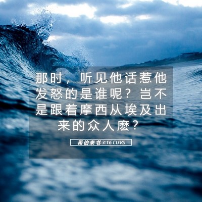 Picture 05 - 希 伯 来 书 3:16 CUVS - 那 时 ， 听 见 他 话 惹 他 发 怒 的 - Bible Verse Picture