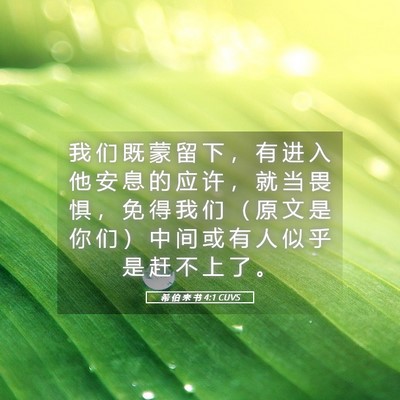 Picture 05 - 希 伯 来 书 4:1 CUVS - 我 们 既 蒙 留 下 ， 有 进 入 他 安 - Bible Verse Picture