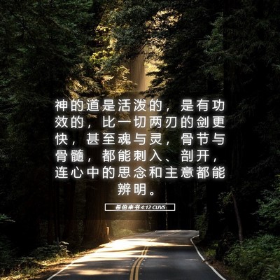 Picture 05 - 希 伯 来 书 4:12 CUVS - 神 的 道 是 活 泼 的 ， 是 有 功 效 - Bible Verse Picture