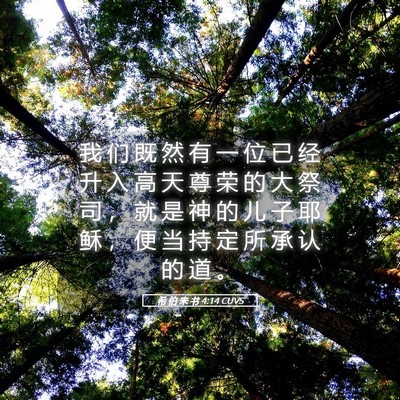 Picture 05 - 希 伯 来 书 4:14 CUVS - 我 们 既 然 有 一 位 已 经 升 入 高 - Bible Verse Picture