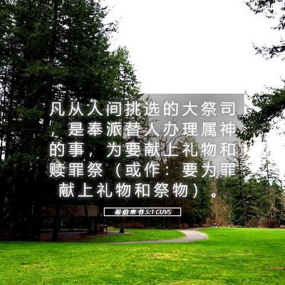 Picture 05 - 希 伯 来 书 5:1 CUVS - 凡 从 人 间 挑 选 的 大 祭 司 ， 是 - Bible Verse Picture