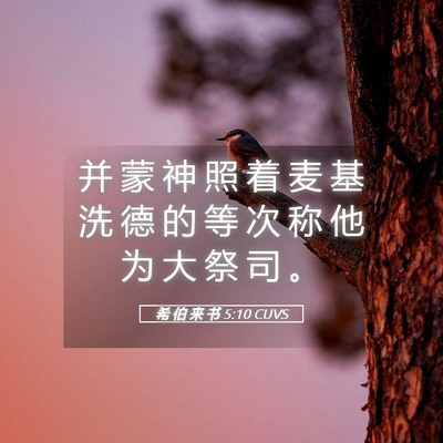 Picture 05 - 希 伯 来 书 5:10 CUVS - 并 蒙 神 照 着 麦 基 洗 德 的 等 次 - Bible Verse Picture