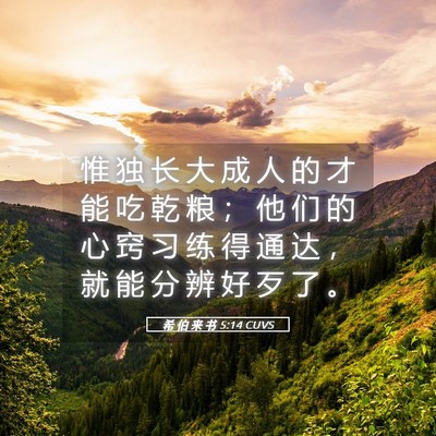 Picture 05 - 希 伯 来 书 5:14 CUVS - 惟 独 长 大 成 人 的 才 能 吃 乾 粮 - Bible Verse Picture