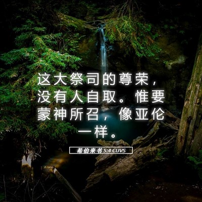 Picture 05 - 希 伯 来 书 5:4 CUVS - 这 大 祭 司 的 尊 荣 ， 没 有 人 自 - Bible Verse Picture