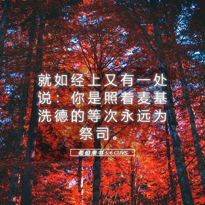 Picture 05 - 希 伯 来 书 5:6 CUVS - 就 如 经 上 又 有 一 处 说 ： 你 是 - Bible Verse Picture