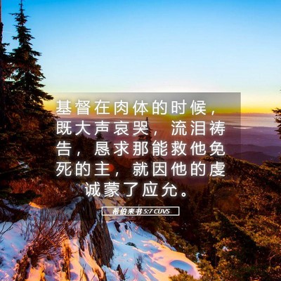 Picture 05 - 希 伯 来 书 5:7 CUVS - 基 督 在 肉 体 的 时 候 ， 既 大 声 - Bible Verse Picture