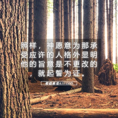 Picture 05 - 希 伯 来 书 6:17 CUVS - 照 样 ， 神 愿 意 为 那 承 受 应 许 - Bible Verse Picture