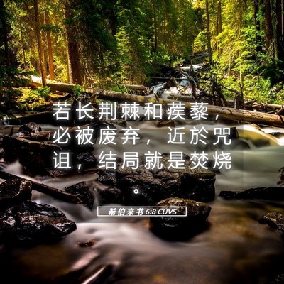 Picture 05 - 希 伯 来 书 6:8 CUVS - 若 长 荆 棘 和 蒺 藜 ， 必 被 废 弃 - Bible Verse Picture