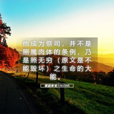 Picture 05 - 希 伯 来 书 7:16 CUVS - 他 成 为 祭 司 ， 并 不 是 照 属 肉 - Bible Verse Picture