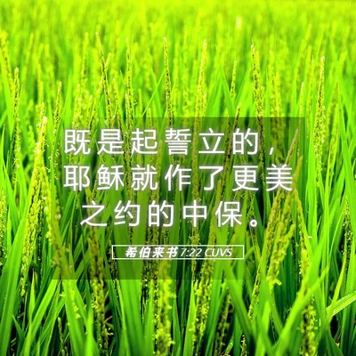 Picture 05 - 希 伯 来 书 7:22 CUVS - 既 是 起 誓 立 的 ， 耶 稣 就 作 了 - Bible Verse Picture