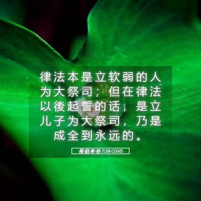 Picture 05 - 希 伯 来 书 7:28 CUVS - 律 法 本 是 立 软 弱 的 人 为 大 祭 - Bible Verse Picture