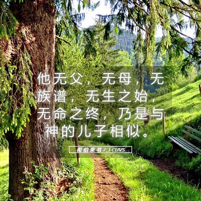 Picture 05 - 希 伯 来 书 7:3 CUVS - 他 无 父 ， 无 母 ， 无 族 谱 ， 无 - Bible Verse Picture